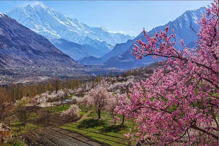 Hunza & Skardu Valley Spring Tour