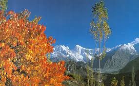 Phander Valley & Ghizer District Tour